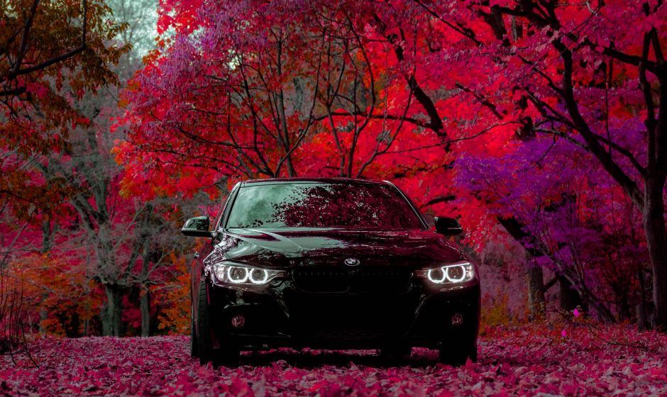 Where To Find Monthly Car Rental Budget-Friendly Options