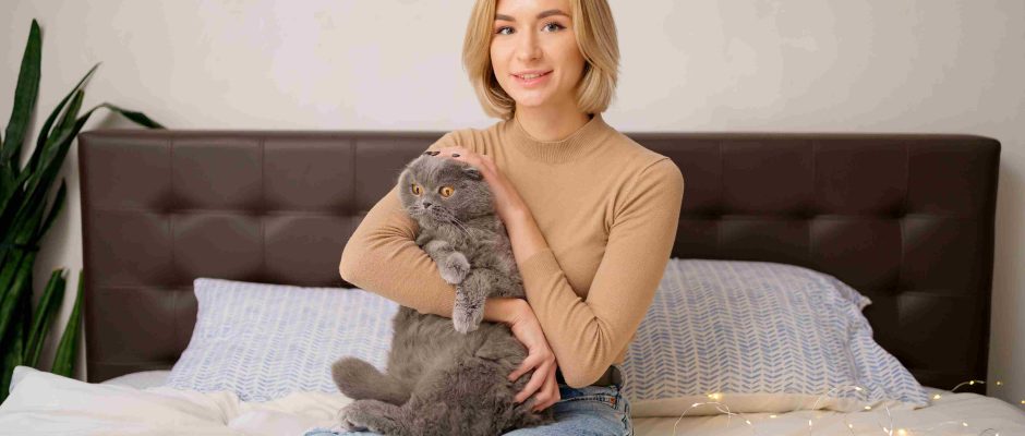 Is Cat boarding Dubai Better than Hiring a Pet Sitter?