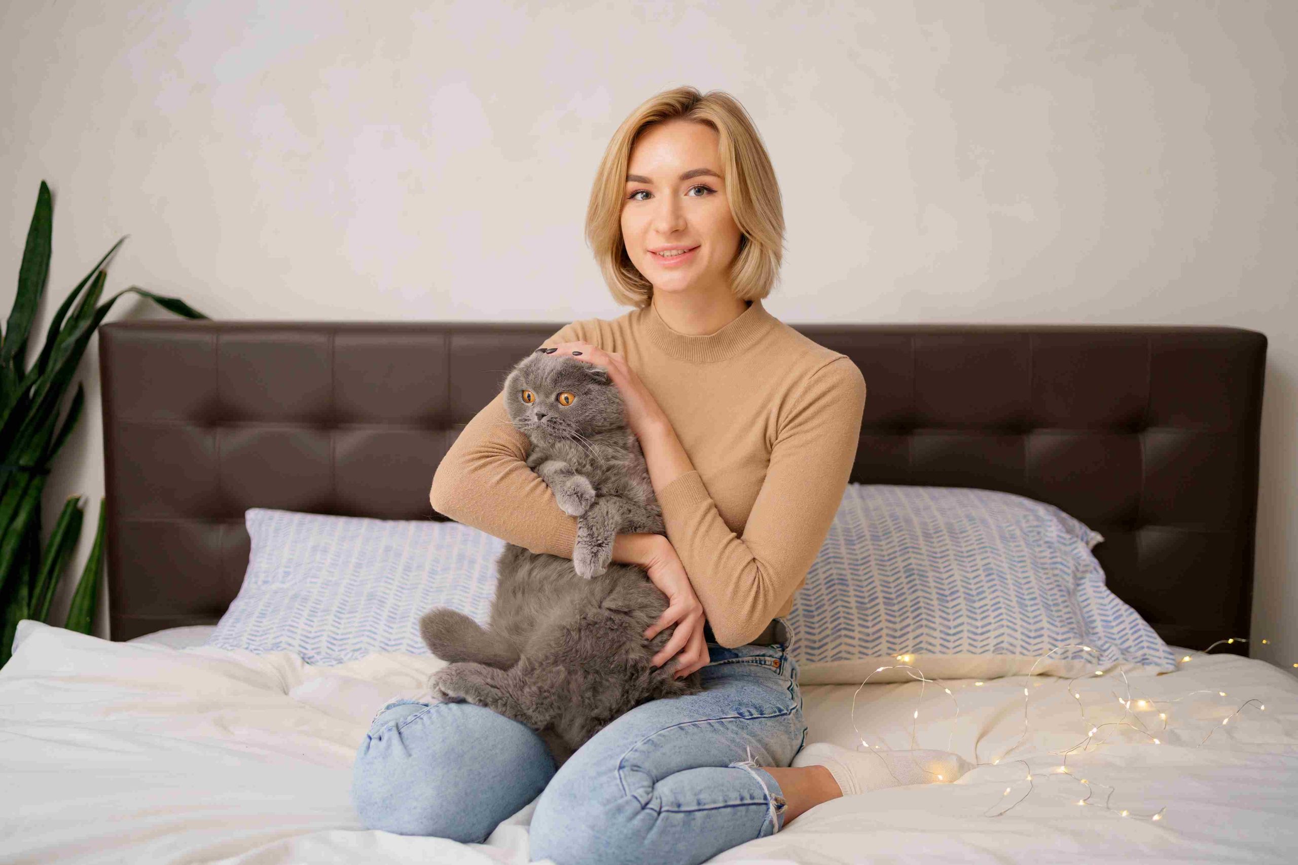 Is Cat boarding Dubai Better than Hiring a Pet Sitter?